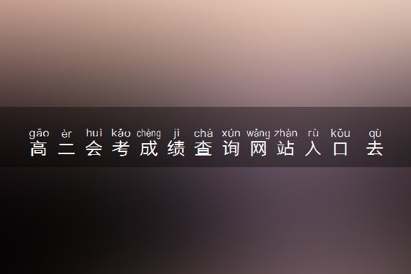 高二会考成绩查询网站入口 去哪查询