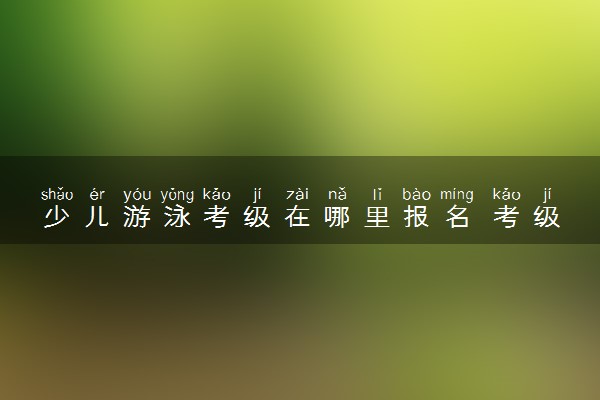 少儿游泳考级在哪里报名 考级有用吗