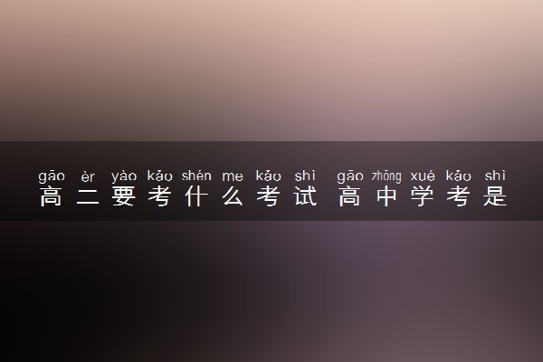 高二要考什么考试 高中学考是在高二吗