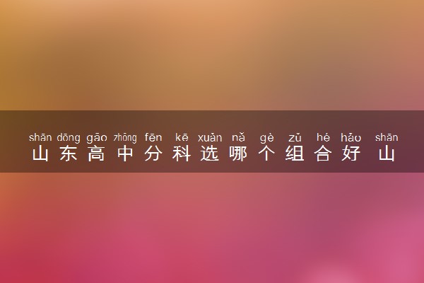 山东高中分科选哪个组合好 山东新高考选科组合推荐