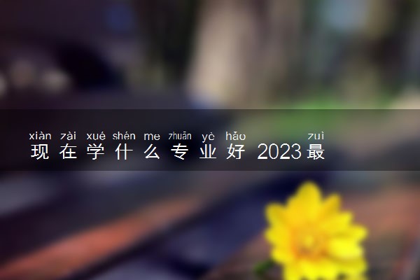 现在学什么专业好 2023最吃香前景好的大学专业