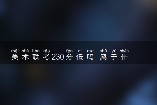 美术联考230分低吗 属于什么水平