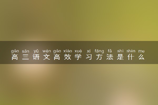 高三语文高效学习方法是什么 有哪些学习技巧