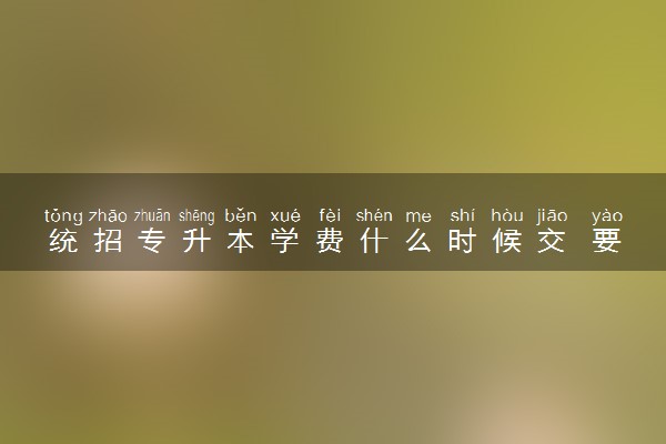 统招专升本学费什么时候交 要一起交齐吗