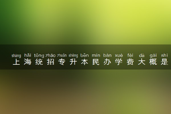 上海统招专升本民办学费大概是多少 开销大吗