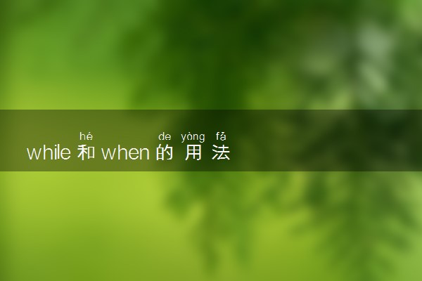 while和when的用法 有什么区别