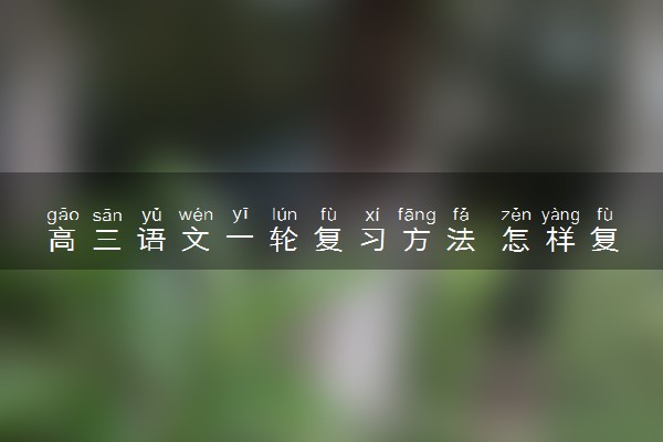 高三语文一轮复习方法 怎样复习语文