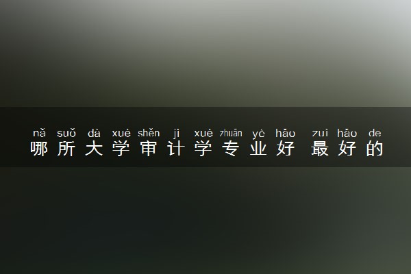哪所大学审计学专业好 最好的学校有哪些