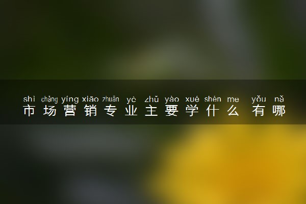 市场营销专业主要学什么 有哪些课程