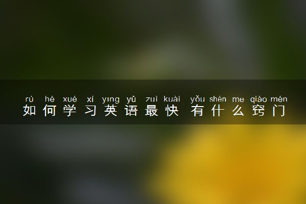 如何学习英语最快 有什么窍门方法
