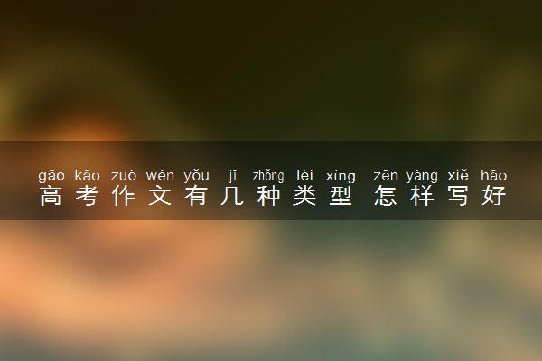 高考作文有几种类型 怎样写好作文