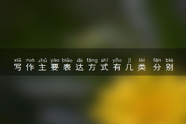 写作主要表达方式有几类 分别是什么