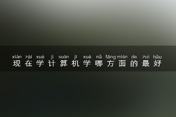 现在学计算机学哪方面的最好 什么专业吃香