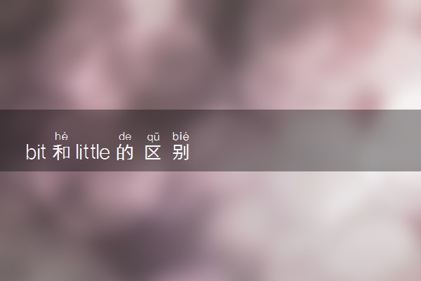 bit和little的区别