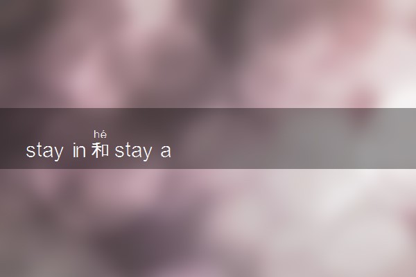 stay in和stay at的区别