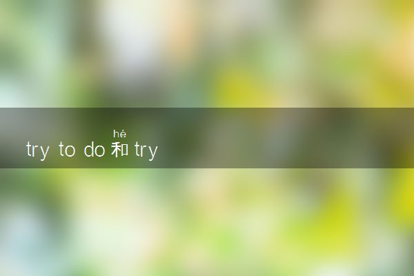 try to do和try doing的区别有哪些？try to do和try doing造句