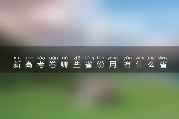 新高考卷哪些省份用 有什么省