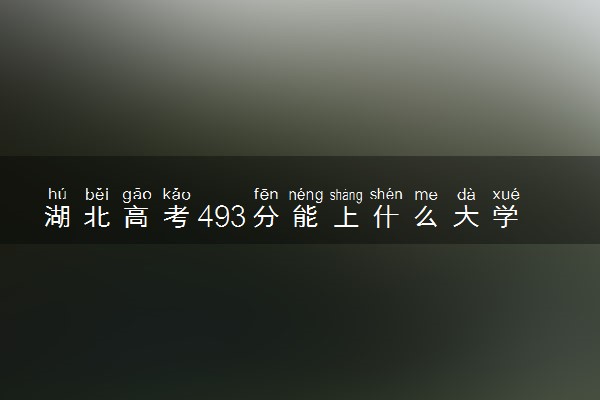 湖北高考493分能上什么大学？2023年可以报考哪些学校？附排名