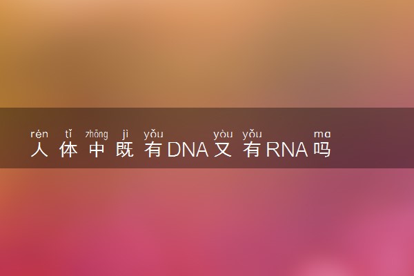 人体中既有DNA又有RNA吗 相关知识介绍