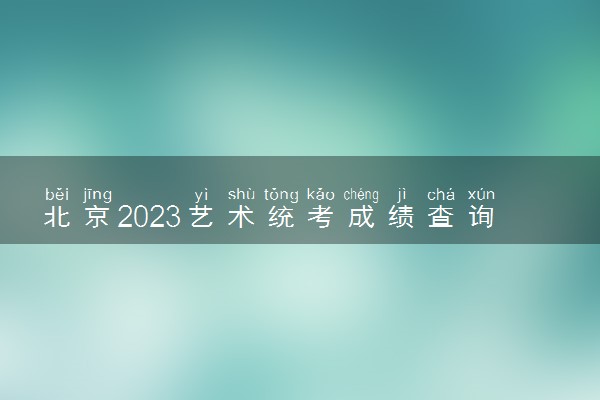 北京2023艺术统考成绩查询时间及入口 具体怎样查询
