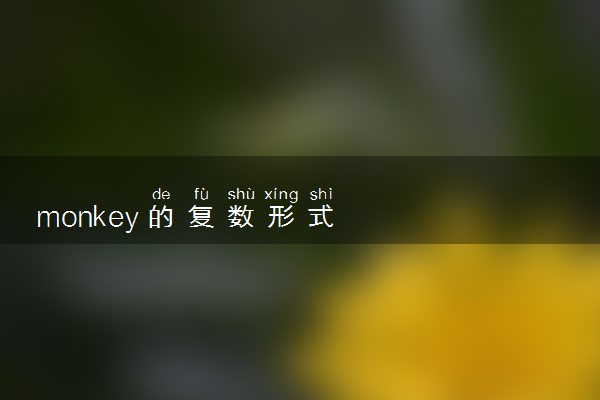 monkey的复数形式