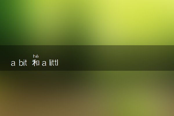 a bit 和a little 的区别