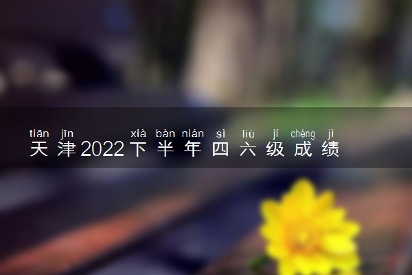 天津2022下半年四六级成绩查询时间 哪天查分