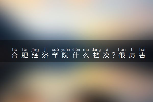 合肥经济学院什么档次？很厉害吗？很牛吗？