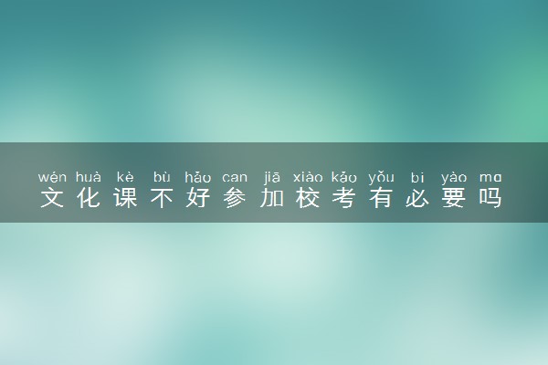 文化课不好参加校考有必要吗 文化课怎么提分