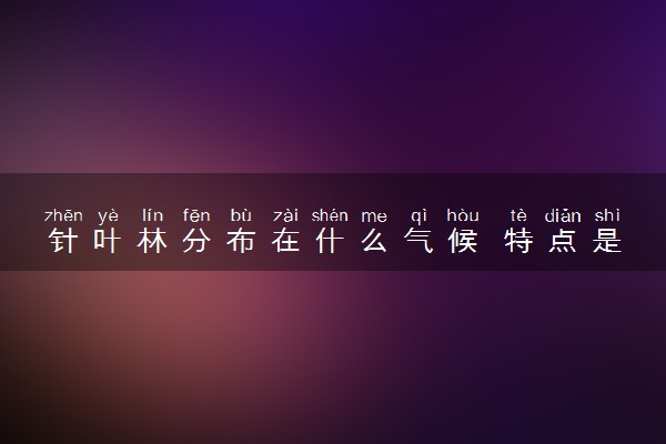 针叶林分布在什么气候 特点是什么