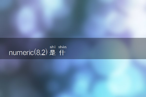 numeric(8,2)是什么意思