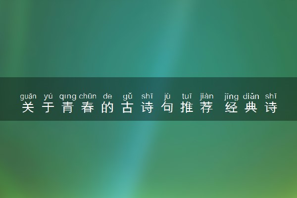 关于青春的古诗句推荐 经典诗句积累