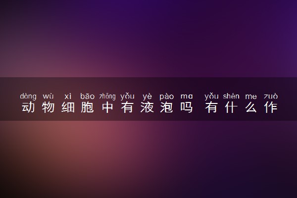 动物细胞中有液泡吗 有什么作用