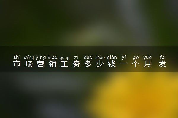 市场营销工资多少钱一个月 发展前景怎么样