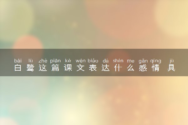 白鹭这篇课文表达什么感情 具体内容是