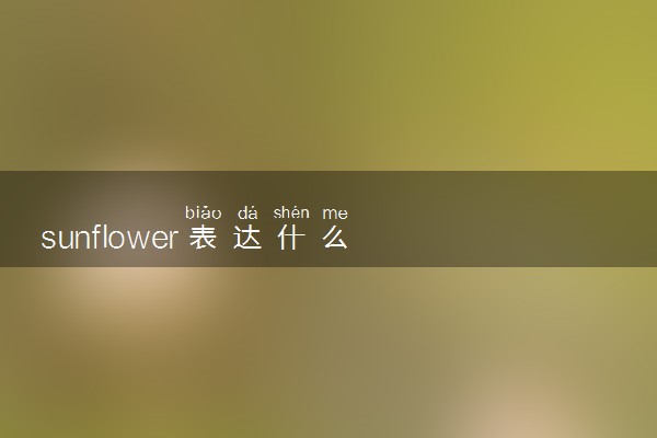 sunflower表达什么