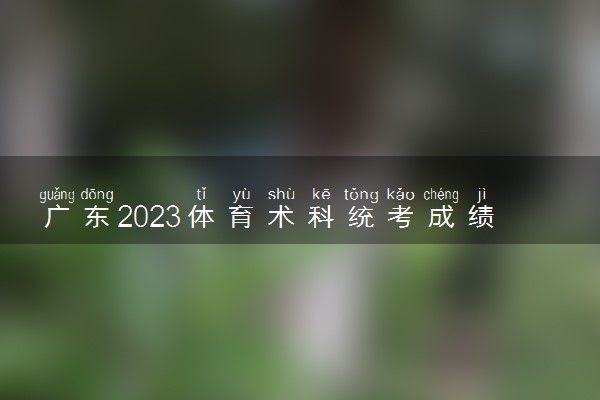 广东2023体育术科统考成绩复核方法 怎么申请复核