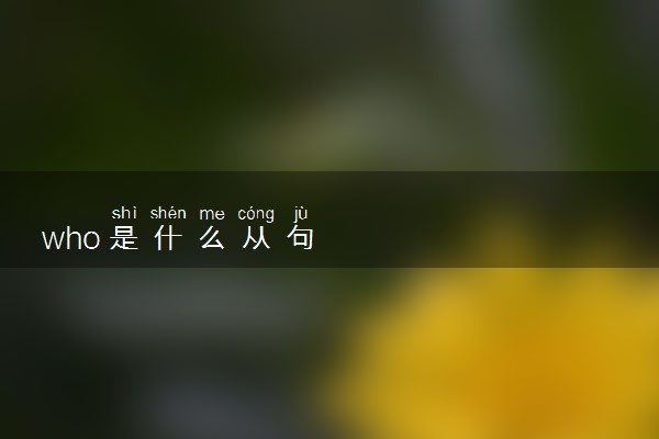 who是什么从句