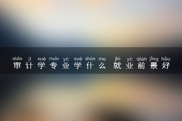 审计学专业学什么 就业前景好不好
