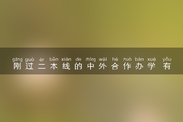 刚过二本线的中外合作办学 有哪些学校