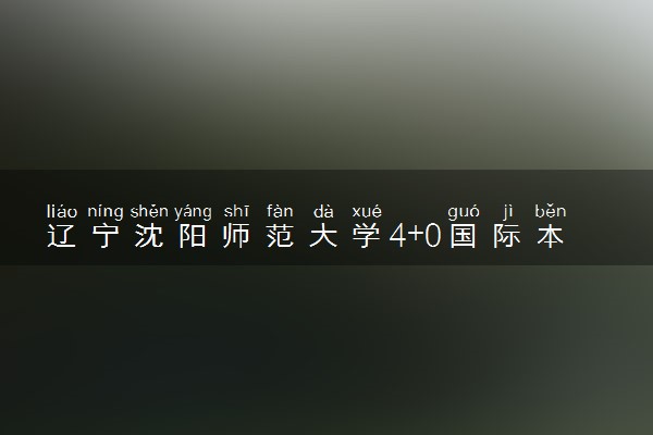 辽宁沈阳师范大学4+0国际本科录取条件