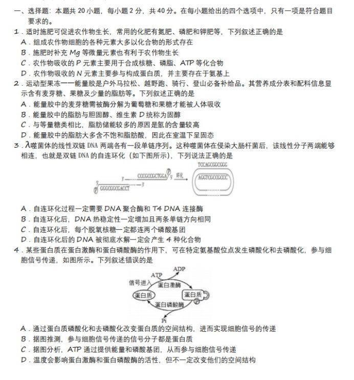 山西朔州一中2023学年高考仿真模拟生物试卷(含答案)