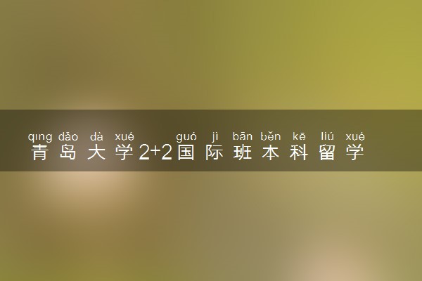 青岛大学2+2国际班本科留学项目招生