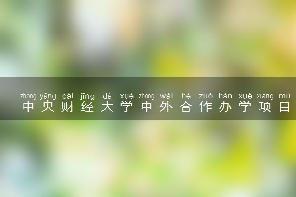 中央财经大学中外合作办学项目