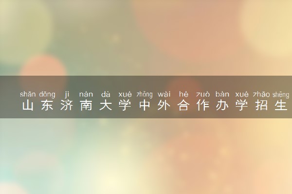 山东济南大学中外合作办学招生简章