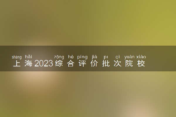 上海2023综合评价批次院校录取考生名单 入围考生有哪些