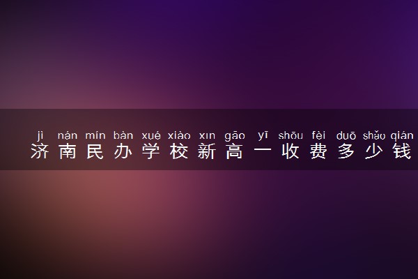 济南民办学校新高一收费多少钱