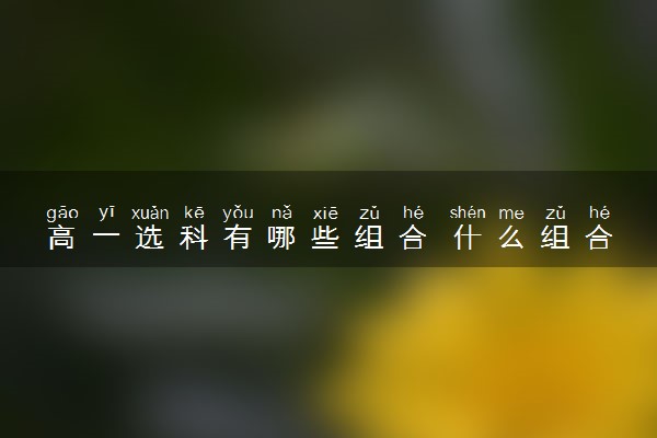 高一选科有哪些组合 什么组合比较好