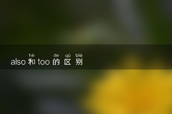 also和too的区别