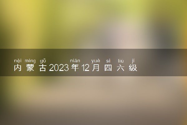 内蒙古2023年12月四六级成绩查询时间及入口 多久出分